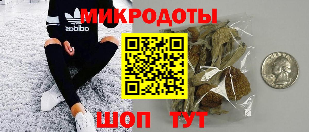 Псилоцибиновые грибы GOLDEN TEACHER  Вход с VPN  Мурино 